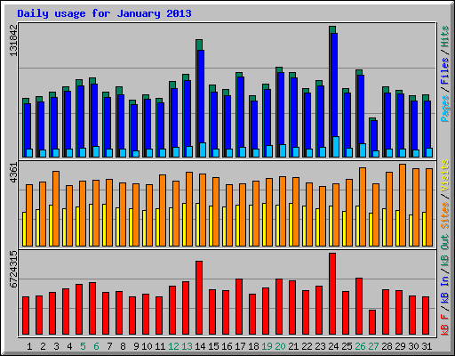 Daily usage for January 2013