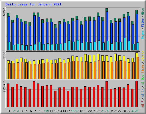 Daily usage for January 2021