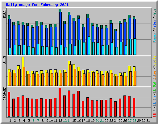 Daily usage for February 2021