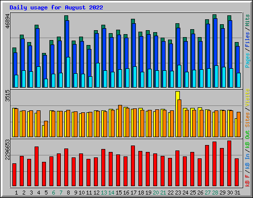 Daily usage for August 2022