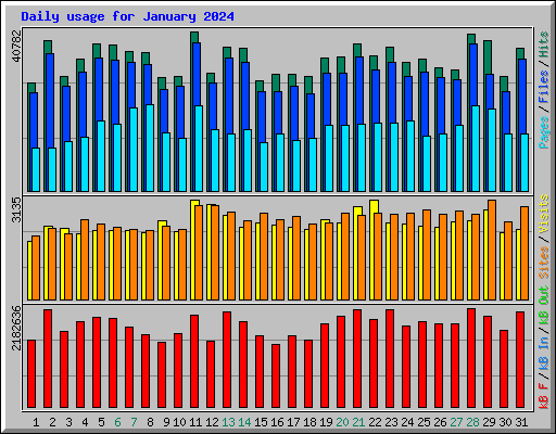 Daily usage for January 2024