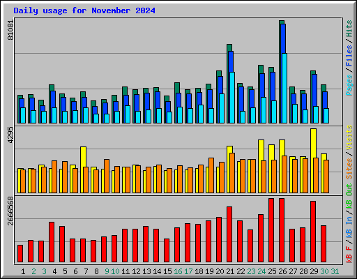 Daily usage for November 2024