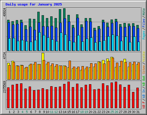Daily usage for January 2025