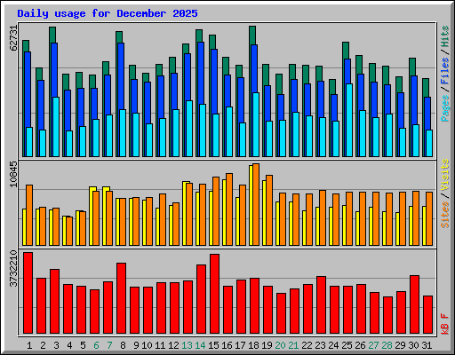Daily usage for December 2025