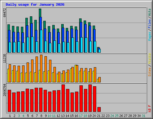 Daily usage for January 2026