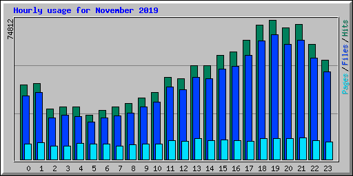 Hourly usage for November 2019