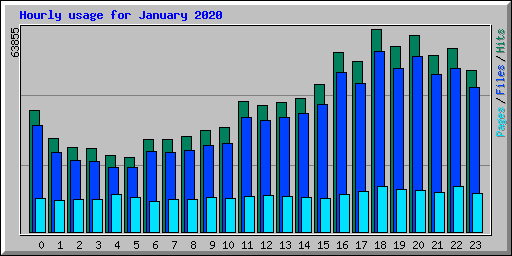 Hourly usage for January 2020