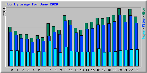 Hourly usage for June 2020