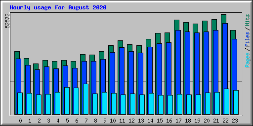 Hourly usage for August 2020