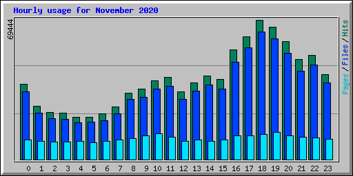 Hourly usage for November 2020