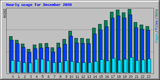 Hourly usage for December 2020