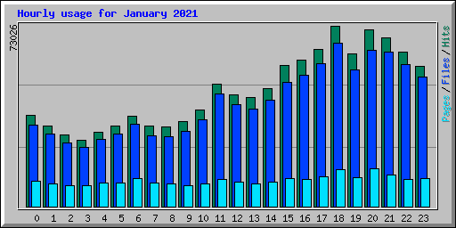 Hourly usage for January 2021