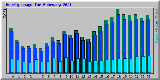 Hourly usage for February 2021