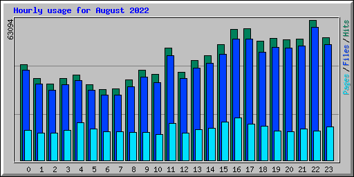 Hourly usage for August 2022