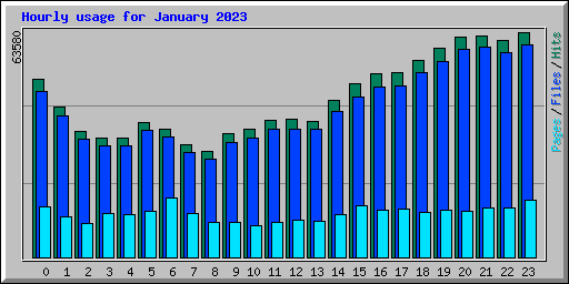 Hourly usage for January 2023