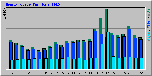 Hourly usage for June 2023