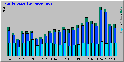 Hourly usage for August 2023