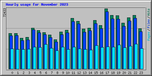 Hourly usage for November 2023