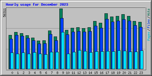 Hourly usage for December 2023