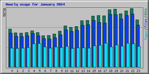 Hourly usage for January 2024