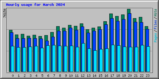 Hourly usage for March 2024