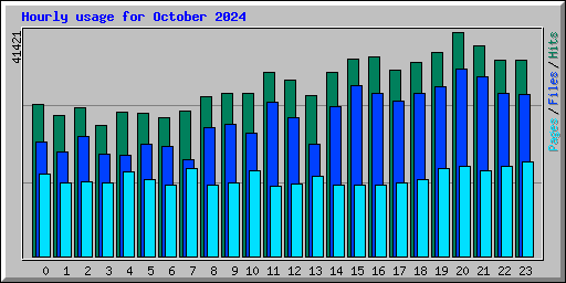 Hourly usage for October 2024