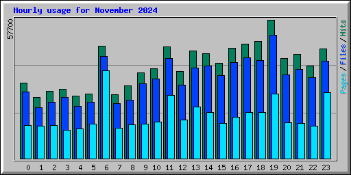 Hourly usage for November 2024
