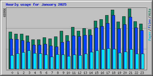 Hourly usage for January 2025