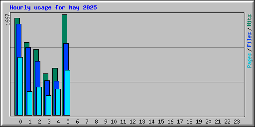 Hourly usage for May 2025