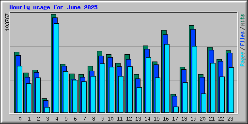 Hourly usage for June 2025