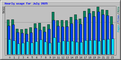 Hourly usage for July 2025