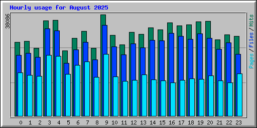 Hourly usage for August 2025