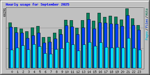 Hourly usage for September 2025