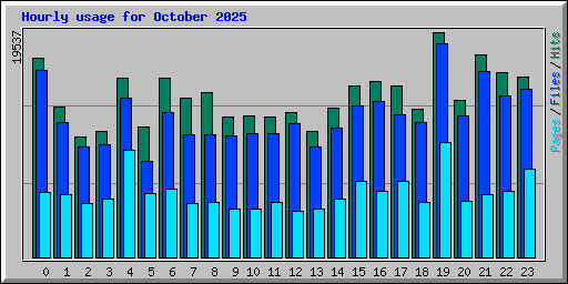 Hourly usage for October 2025
