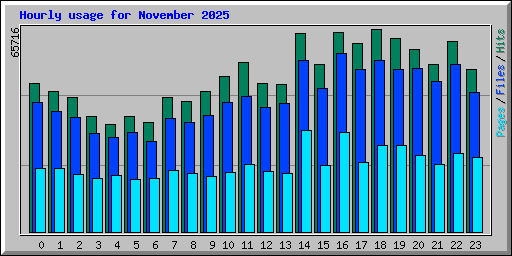 Hourly usage for November 2025