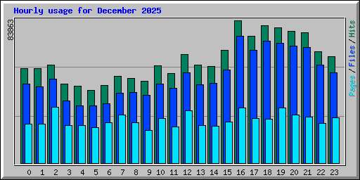 Hourly usage for December 2025