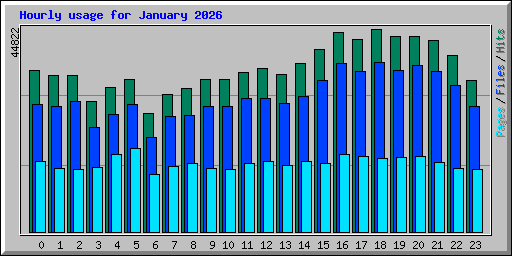 Hourly usage for January 2026