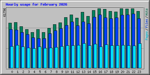 Hourly usage for February 2026
