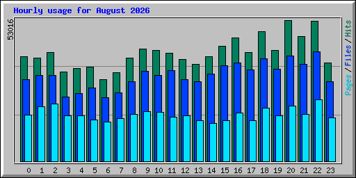 Hourly usage for August 2026